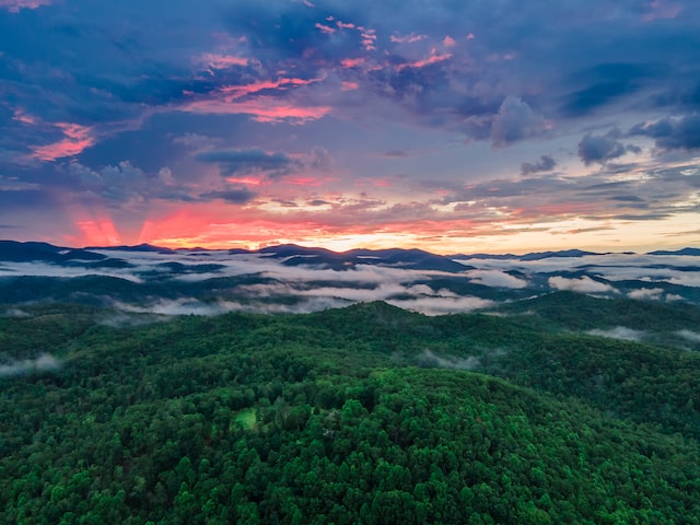 Title Loans Gainesville GA