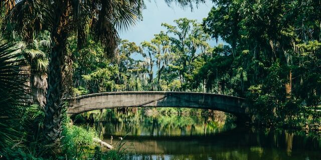 Online Title Loans Louisiana